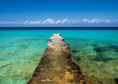 Blue Paradise