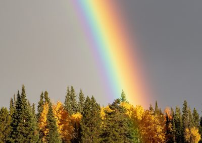 Pot of Gold