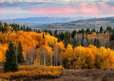 Autumn's Farewell