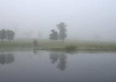 Texas Pond